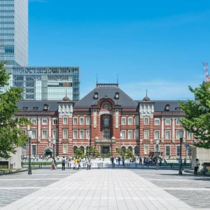  [도쿄] [입국 후 바로 여행] 단독 도쿄 반나절 투어 (공항 픽업 & 호텔 드롭) 반대도 가능!!