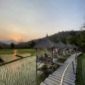 [루앙프라방] 루앙프라방 꽝시폭포 깊쑤키 (Feat.코끼리캠프,깨오폭포,라이스팜카페)