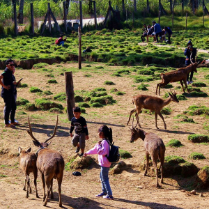 반둥 프라이빗 까와 뿌띠 투어