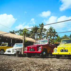 발리 우붓 스윙 및 VW 빌리지 투어