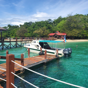 코타키나발루 사피섬 + 마누칸 또는 마무틱 섬 투어