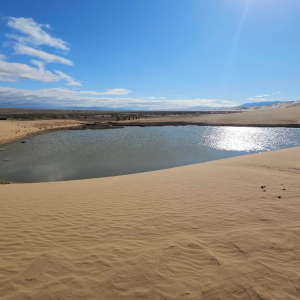 [몽골]고비사막+테를지 6박7일