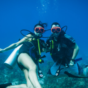 [세부 액티비티 & 데이투어] 스킨 스쿠버 다이빙 - 체험다이빙 (교육+강습+실습/체험+수중 촬영)