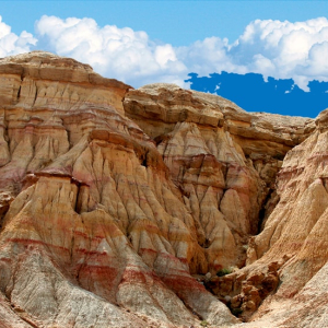 [몽골]4박5일 고비사막 투어