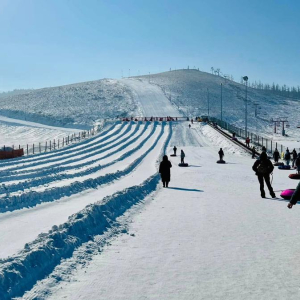 [몽골] 3박 4일 사막 에서 스키까지! 한꺼번에 겨울 투어  (마사지, 스키 포함)