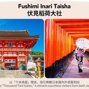 [한국어가이드] 교토 & 나라 일일 버스 투어 