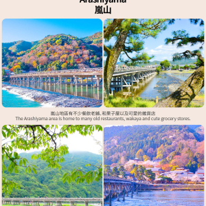 [한국어/영어가이드] 오사카 출발: 교토&나라 일일 버스 투어