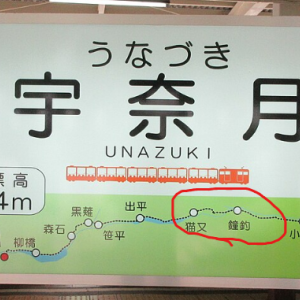  [도야마] 구로베협곡 토롯코열차 승차권  (우나즈키~네코마타)