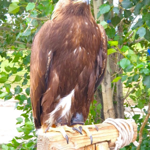 몽골 테를지 국립공원 반일 단독 투어 / 울란바토르 출발
