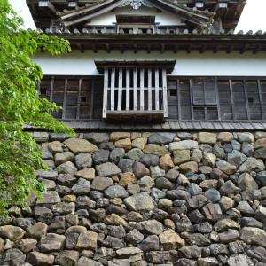 후쿠이 마루오카성 입장권