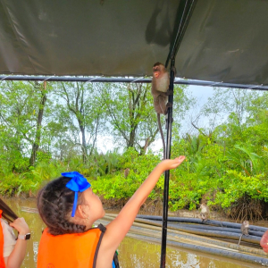 코타키나발루 봉가완 반딧불 투어