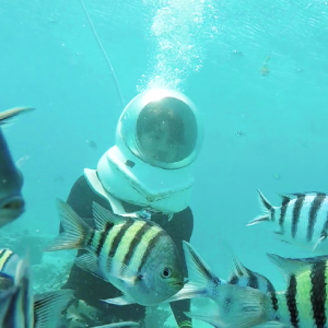 [괌] 비키니섬 바나나보트 & 아쿠아워커 스노쿨링