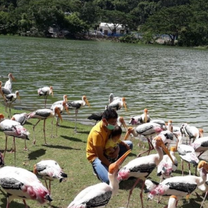 (방콕출발) 파타야 카오키여우 오픈주 반일 단독 투어