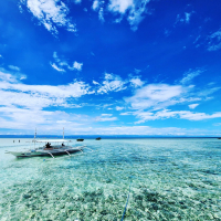  [보홀] 스타인 발리카삭 호핑투어 (돌핀왓칭, 거북이스노클링)