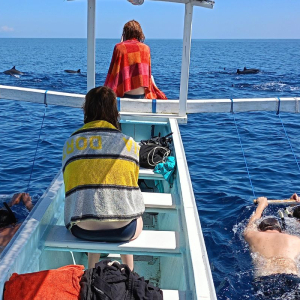 발리 로비나 돌핀 워칭 & 수영