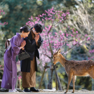 [교토]교토 기모노 대여 체험, 럭셔리 수제 실크 후리소데 