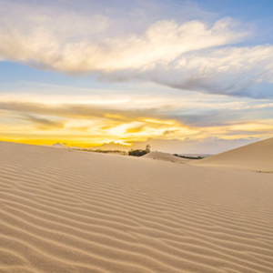 (한국어가이드) 판랑 사막 지프 차량 + 양 농장 단독 투어 / 나트랑 출발