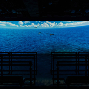 [오키나와] 오키나와 DMM 카리유시 수족관 오후 입장권 (17시이후 입장)