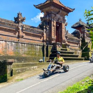 발리 정글 카트 & 크레트야 우붓 투어