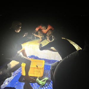 [보홀] 선셋 & 별빛 낚시투어