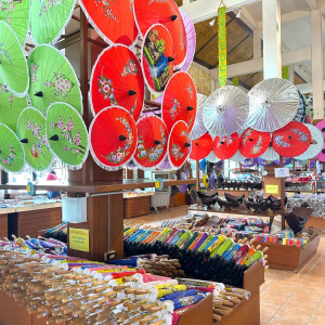 (한국어가이드) 치앙마이 버쌍 우산 마을 + 싼캄팽 온천 단독 투어