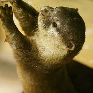 아쿠아플라넷 제주 입장권 & 늦은오후권 (26.03월)