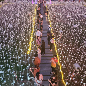 [세부] 어메이징 데이 & 체크아웃 투어