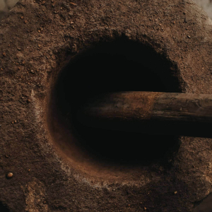 발리 커피 농장 + 우붓 데이투어