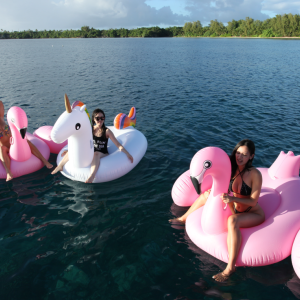 [괌]익사이팅 돌핀 크루즈 (파란크루즈)