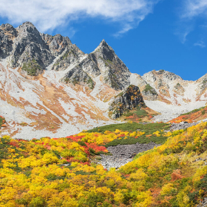 [영어가이드] 다테야마 구로베 알펜루트· 유키노오타니 1박2일 투어