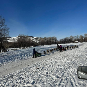 [몽골] 3박 4일 사막 에서 스키까지! 한꺼번에 겨울 투어  (마사지, 스키 포함)