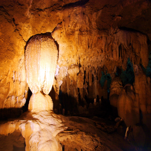  [오키나와] 이시가키지마 종유동 입장권