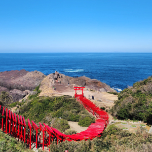 [야마구치]기타큐슈 야마구치 버스투어 부관훼리 시모노세키항 경유