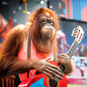 (한국어가이드) 방콕 사파리 월드 단독 투어