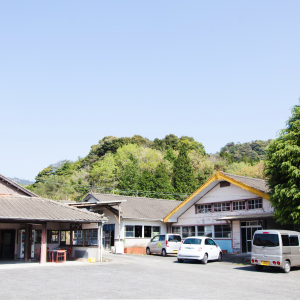 [사가현] 트레져 헌팅! 아리타 도자기 그릇 골라담자