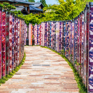 [한국어/영어가이드] 오사카 출발: 교토&나라 일일 버스 투어