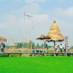 (한국어가이드) 방콕 왕궁 & 아이콘시암 & 워터버스 & 아유타야 단독 투어