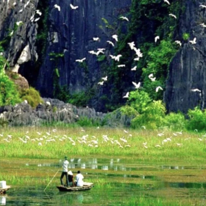 (한국어가이드) 닌빈 항무아 + 빅동 사원 + 뚱냠 단독 투어 / 하노이 출발 
