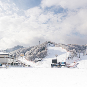 엘리시안 강촌 12월 상시