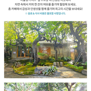 (한국어가이드) 치앙마이 반캉왓 + 도이수텝 사원 단독 투어