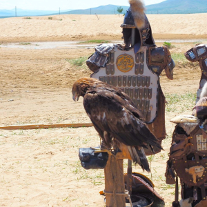 (한국어가이드) 몽골 테를지 국립공원 단독 투어
