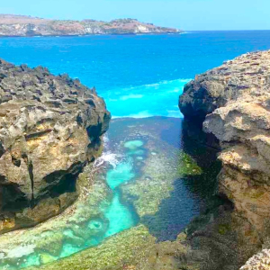 (한국어가이드) 발리 누사페니다 섬 투어