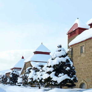 [프리미엄 소규모 투어] 북해도 호헤이쿄온천+닛카위스키+오타루 삿포로 출발 입욕료 특전