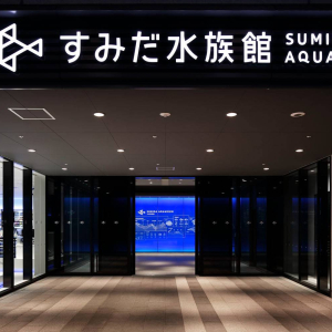 [도쿄] 스미다 수족관 입장권