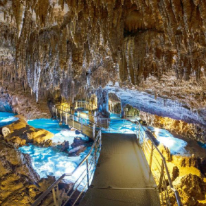 [오키나와]  오키나와 츄라우미 토쿠토쿠 5패스