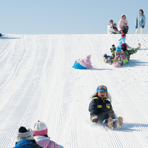 [🍤준페이매장식사🍤][매일출발♥️] 북해도  비에이 후라노 삿포로 버스투어 [라쿠투어]