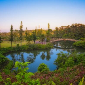 [오키나와]오키나와 동남식물낙원 1DAY 패스 (주간+야간)