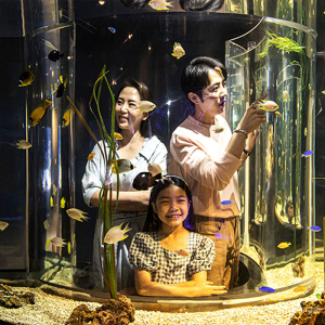 [광교] 아쿠아플라넷 입장권(2/1~2/28)