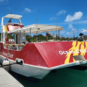 [사이판] 호핑 & 낚시 투어 모음 (오전/오후)