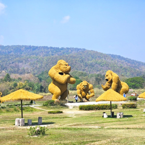 (한국어가이드) 치앙마이 몬쨈 + 후웨이퉁타오 호수 단독 투어